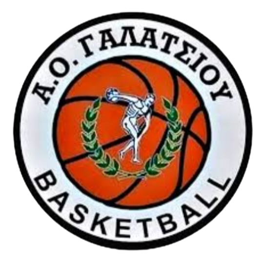 https://img.szdylsb.com/img/basketball/team/99aa3f28c95a20cc802a5f1a5af87719.png